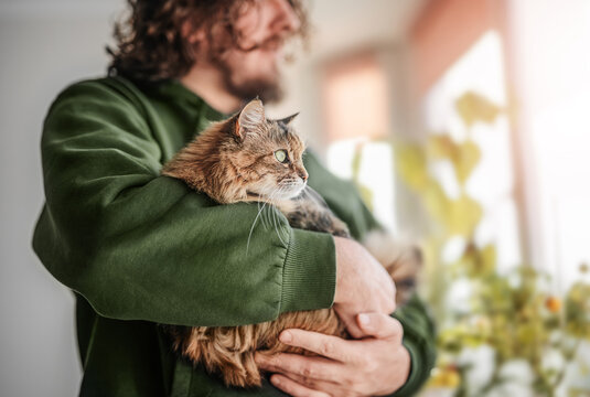 Man hugging a cat by the window with flowerpots.