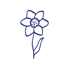 Narcissus flower. Hand drawn sketch. Blue pen or marker drawing. Primitive kids picture. Floral illustration