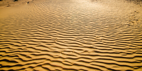 Sand dunes. landscape of golden sand dune with blue sky in desert