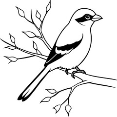 Stunning Northern Shrike Perched in Vector Art Style Against a Clear Sky

