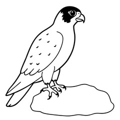 Vector Illustration of a Peregrine Falcon Perched Majestically on a Branch
