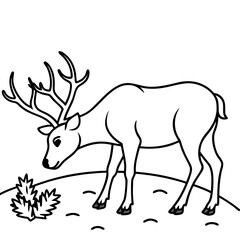 Reindeer with Elegant Antlers Vector Illustration for Stunning Winter Scenes