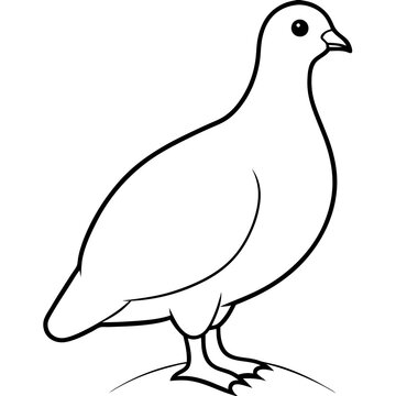 recommend clip art: Hidden Beauty of the Ptarmigan in Winter Wonderland Vector Illustration
                    