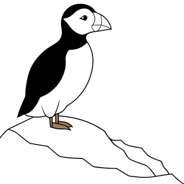 recommend clip art: Puffin on Snowy Ground Vector Illustration Bright Colors and Charming Details
                    