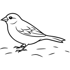 Vibrant Vector Illustration of a Snow Bunting Pecking on Winter Ground
