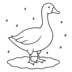 Snow Goose Vector Illustration A Beautiful Representation of Nature's Graceful Migrant

