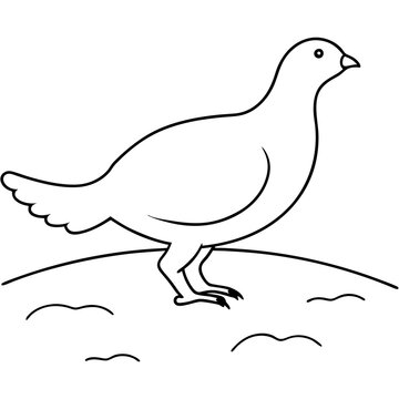 recommend clip art: Vector Illustration of a White Tailed Ptarmigan Capturing the Essence of Wildlife
                    