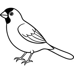 Stunning Bengalese Finch Vector Design Showcasing the Beauty of Avian Life

