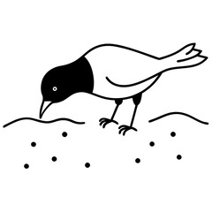 Blackbird Searching for Insects Vector Illustration in a Vibrant Meadow
