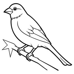 Obraz premium Detailed Vector Illustration of a Finch Showcasing Vibrant Feathers and Expressive Eyes 