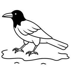 Elegant Crow Walking on a Bright Beach Sand Vector Illustration

