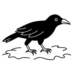 Crow Walking on a Colorful Autumn Leaf Vector Illustration
