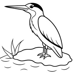 Explore Exotic Kingfisher Designs in Eye Catching Vector Illustrations
