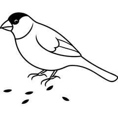 Vector Illustration of European Goldfinch Feeding on Seeds in Nature
