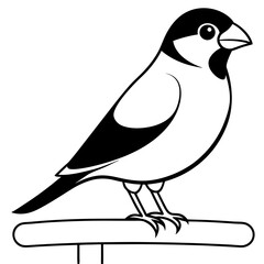 Beautiful Java Sparrow Vector Illustration in a Lush Tropical Setting
