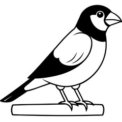 Stunning Vector Illustration of a Java Sparrow Perched on a Branch
