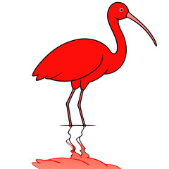 Scarlet Ibis in a Serene Sunset Landscape Vector Illustration

