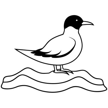 black and white seagull perched on waves clip art preview