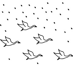 Majestic Tundra Swans Nesting in the Arctic Vector Illustration Capturing the Beauty of These Elegant Birds
