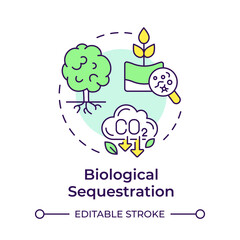 Biological sequestration multi color concept icon. Carbon plant, forestation. Co2 emission. Round shape line illustration. Abstract idea. Graphic design. Easy to use infographic, presentation