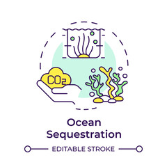Ocean sequestration multi color concept icon. Seagrass, aquaculture. Pollution reduce, carbon management. Round shape line illustration. Abstract idea. Graphic design. Easy to use infographic