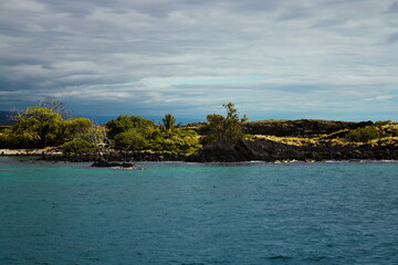 Hawaiian beach and palm trees