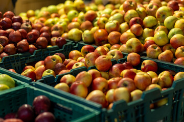 Variety apples arranged in green crates at market stall. Display features diverse apple types with ripe fresh appearance. Image conveys abundance, freshness, and healthy choice for consumers.