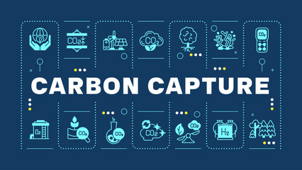 Carbon capture blue word concept. Co2 adsorption, nature preservation. Pollution, ecology. Visual communication. Vector art with lettering text, editable glyph icons. Hubot Sans font used