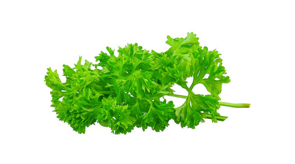 leaves parsley vegetable isolated on white background