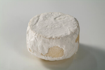 Cheese wheel on white background