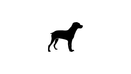Brittany Spaniel, black isolated silhouette