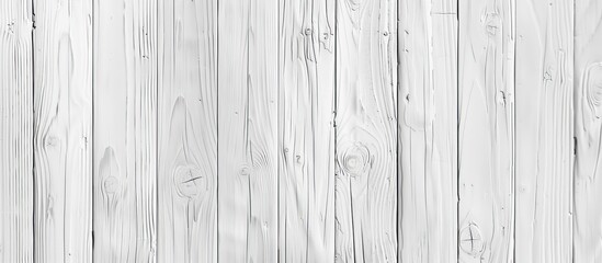 Panorama texture of white wood for use in background design. Copy space image. Place for adding text and design