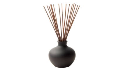 Black Vase with Reed Diffuser Sticks.
