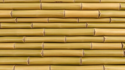 close up of bamboo
