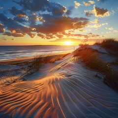 Baltic sea coast at sunset. Landscape with dunes.