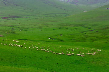 Meandering stream with mountains and clouds at The Persembe Plateau at Ordu, Turkey