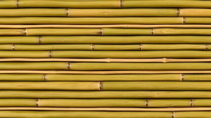 bamboo background