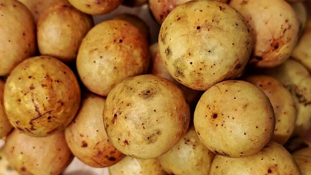 Longkong(Lansium domesticum) is a tropical fruit, grown mostly in southern of Thailand. Longkong is a fruit of the same species as langsat with thick skin 