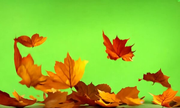 Autumn is here, the leaves are falling. Generative ai on green screen