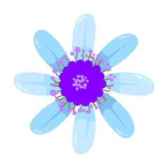 hand drawn colorful flower illustration on white background