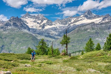 Swiss hiker Zermatt, beautiful mountain alps in the background, trees and trail, Swiss Alps hike