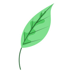 Hand drawn spring flower isolated illustration
