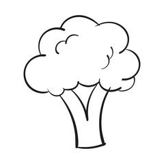 Healthy broccoli graphic illustration