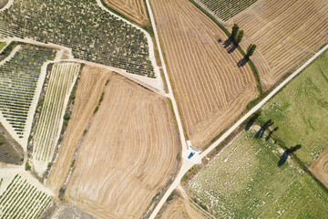 Landscape of La rioja, Spain