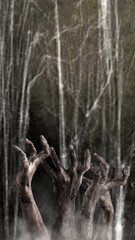 Group of zombie hands with bloody wound shown in a dark room with a cobweb spider web in the background. The hand appearing to be devil, evil, satan, or monster hands