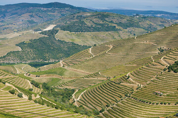 Duero valley near to Pinhao, Portugal