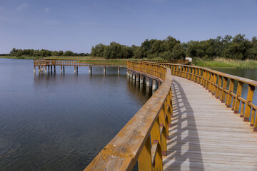 Fototapeta premium Tablas de Daimiel Natural Park, Ciudad Real, Castilla la Mancha, Spain