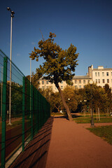 the old architecture of the city of St. Petersburg-