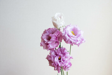 薔薇とトルコ桔梗