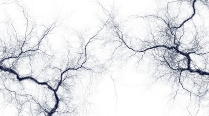 digital fractal resembling neurons on white